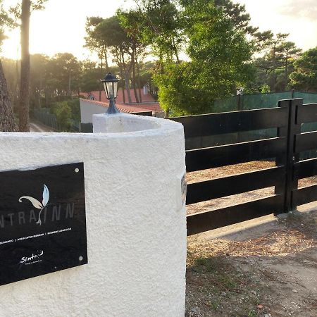Moradia No Pinhal Com Piscina - Espaco E Privacidade Para As Suas Ferias! Sintra Luaran gambar