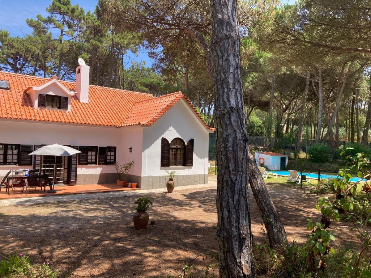 Moradia No Pinhal Com Piscina - Espaco E Privacidade Para As Suas Ferias! Sintra Luaran gambar