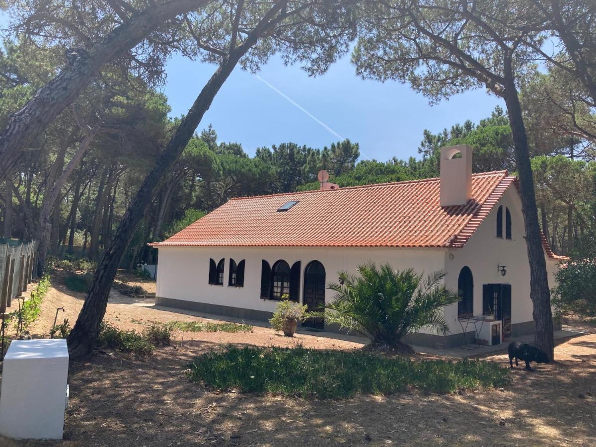 Moradia No Pinhal Com Piscina - Espaco E Privacidade Para As Suas Ferias! Sintra Luaran gambar