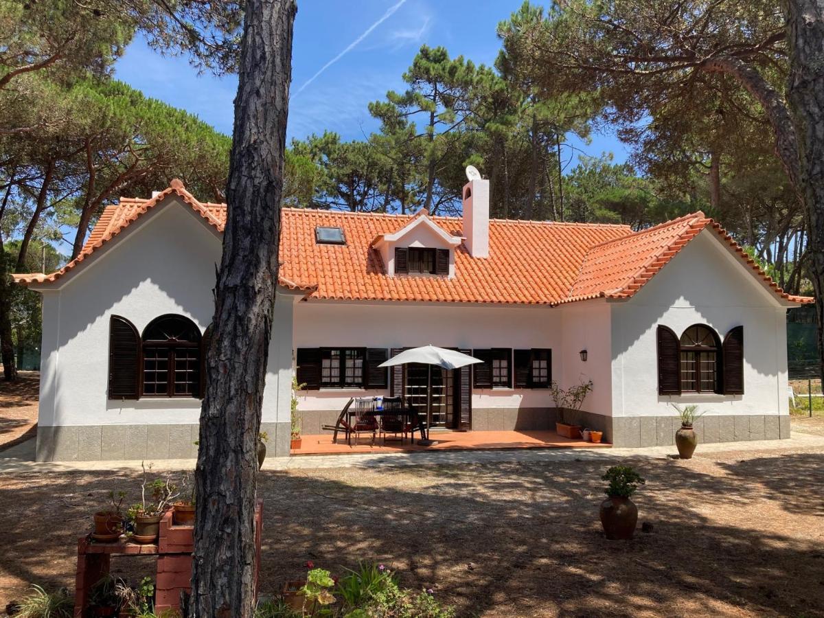 Moradia No Pinhal Com Piscina - Espaco E Privacidade Para As Suas Ferias! Sintra Luaran gambar