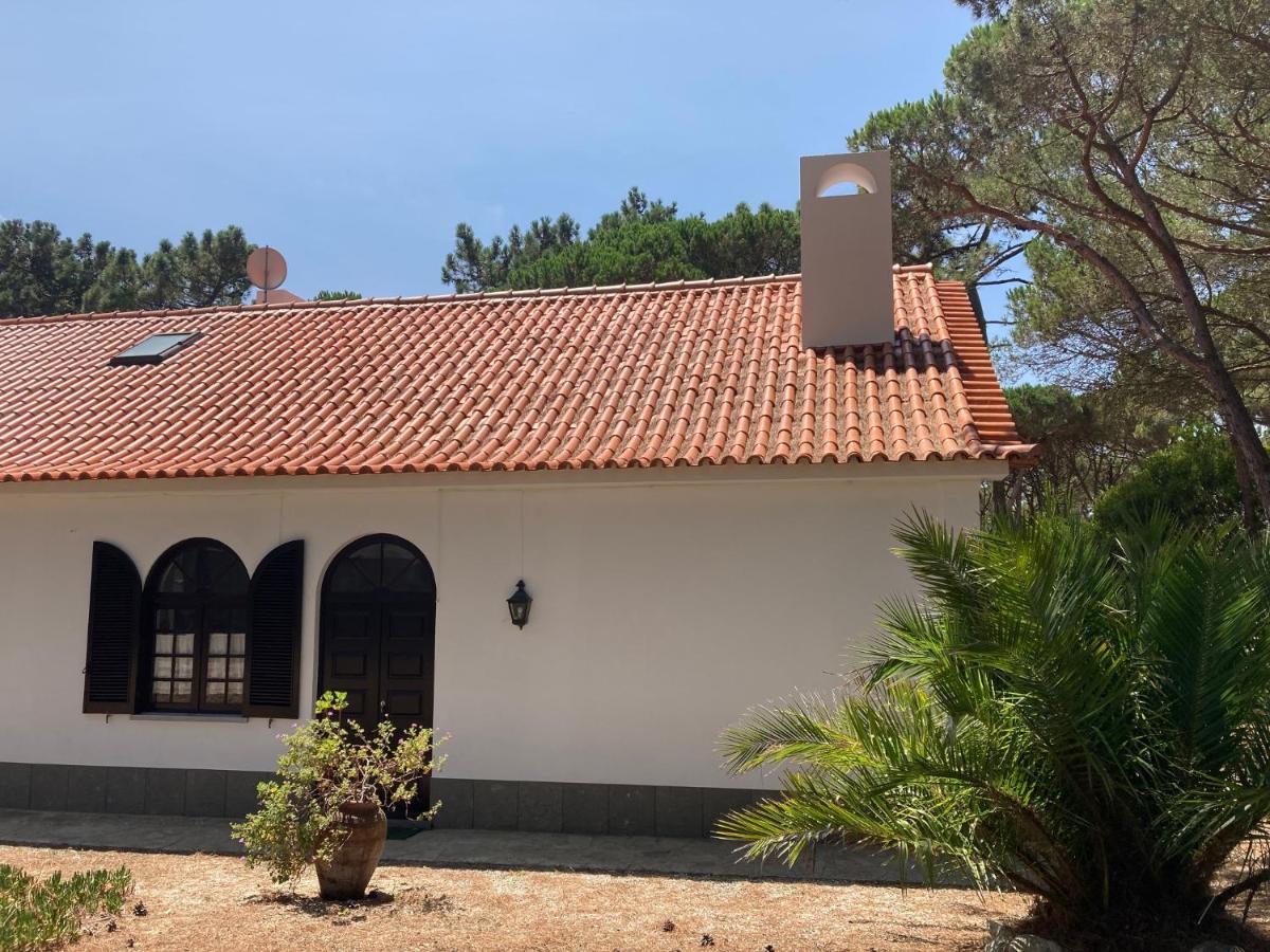 Moradia No Pinhal Com Piscina - Espaco E Privacidade Para As Suas Ferias! Sintra Luaran gambar